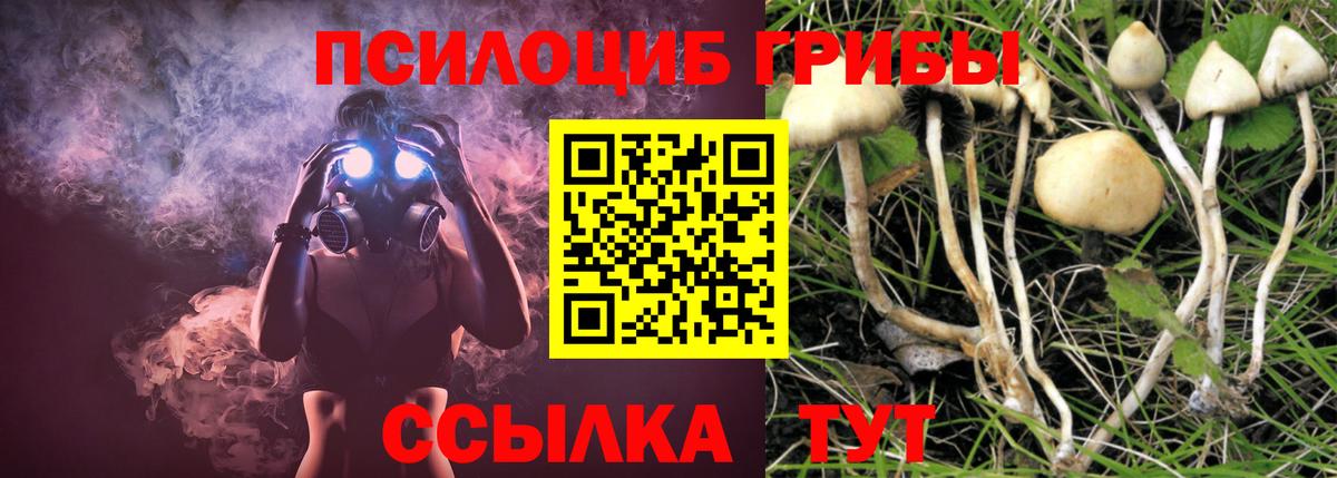 Краснокамск  Псилоцибиновые грибы мицелий  Вход с VPN 